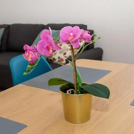 Lejlighed Luni Blace